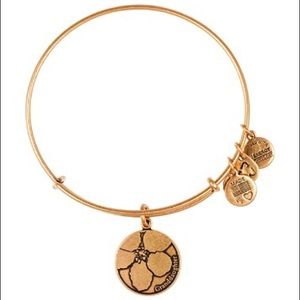 Granddaughter Alex and Ani Expandable Bracelet